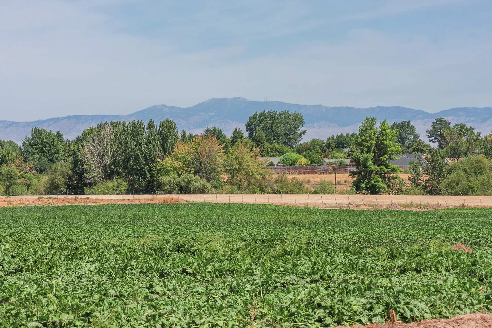 Farm fields and open country outside Kuna, Idaho