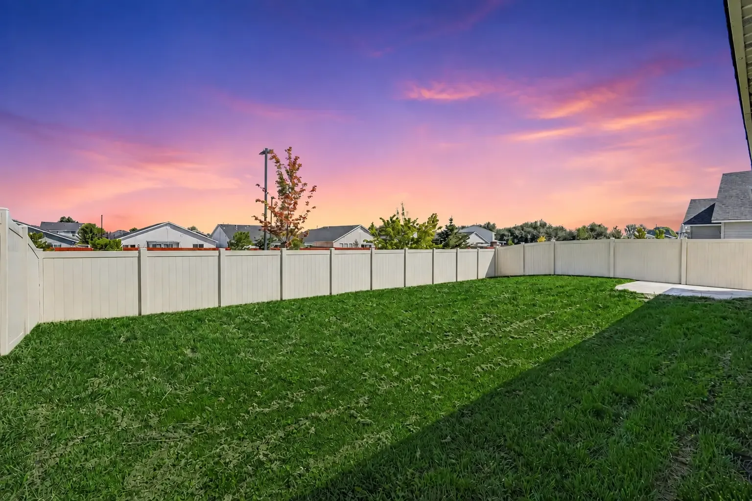 Fully fenced backyard at dusk with lawn, a young tree and vinyl privacy fencing with open sky beyond